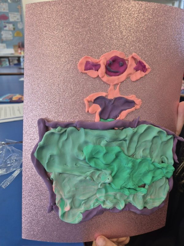 Plastusiowy Pamiętnik